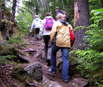 Hiking at Teapot Hill at Cultus Lake